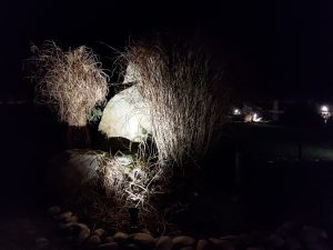 P 20210309 195639