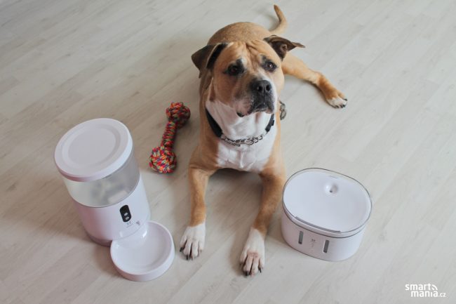 Tesla Smart Pet 10 Tesla Smart Pet 10