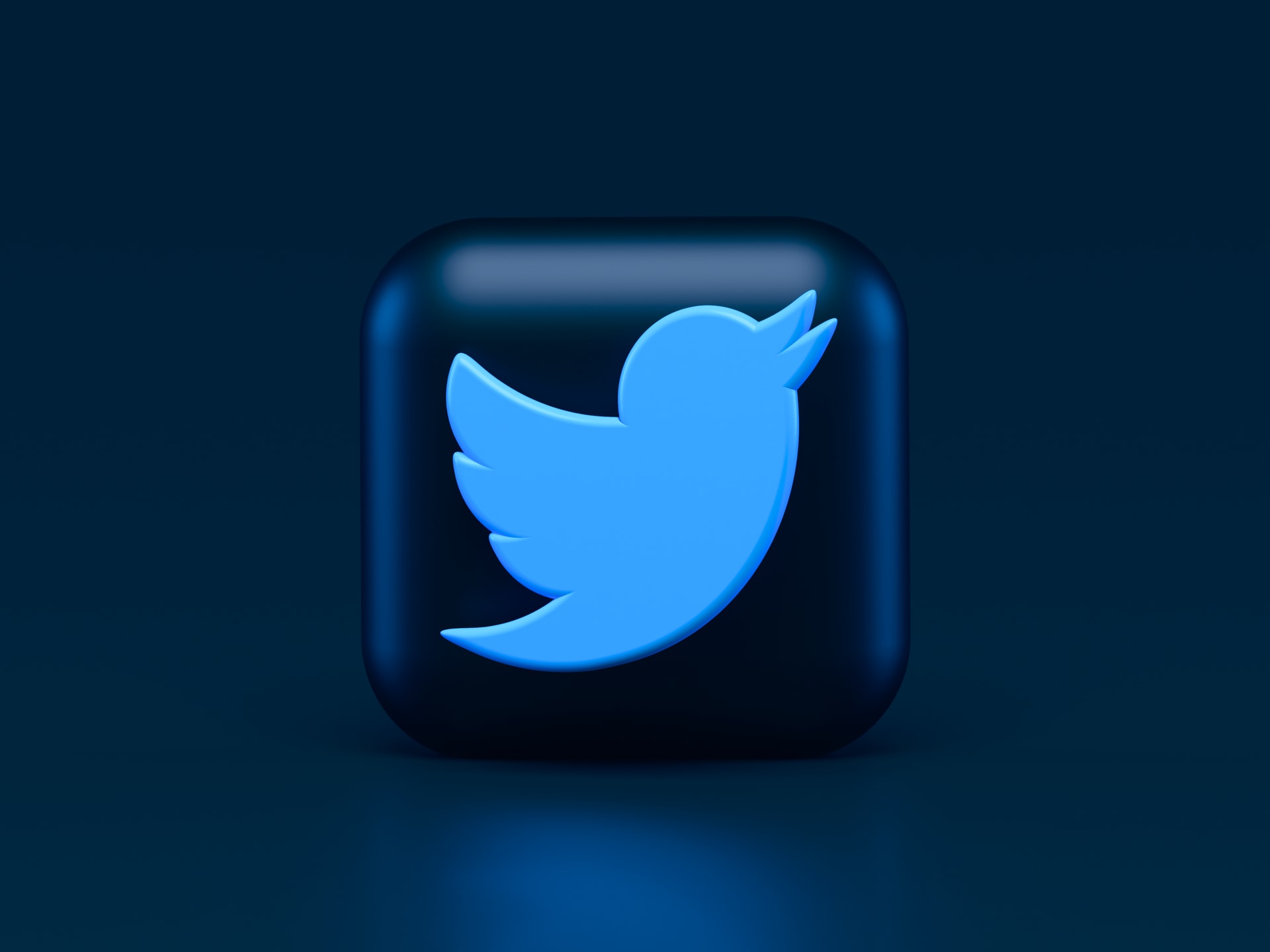 Twitter logo unsplash