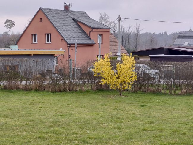 IMG 20210417 172848