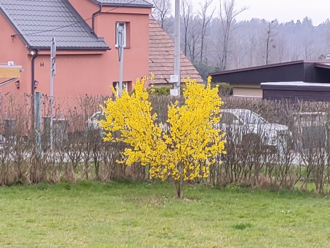 IMG 20210417 172851