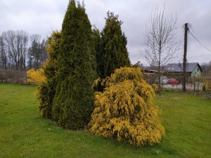 IMG 20210417 173101