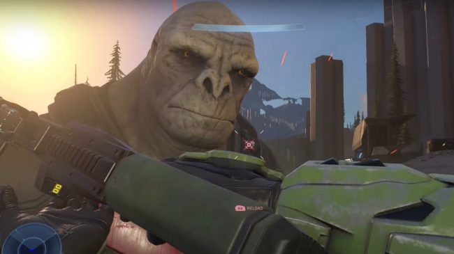 halo infinite grafika