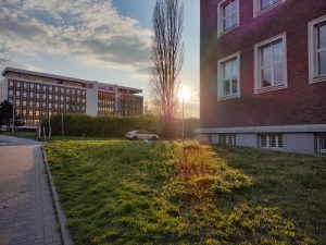 IMG 20210427 185553267 HDR