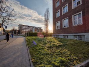 IMG 20210427 185557098 HDR
