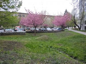 IMG 20210502 164932278