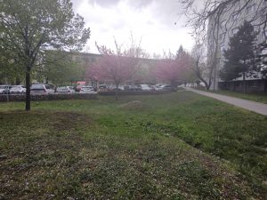IMG 20210502 164936121