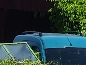IMG 20210601 104526