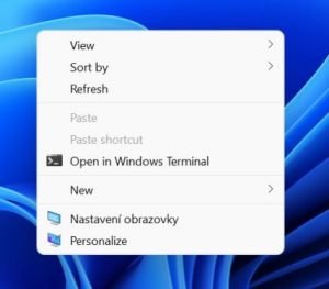 Windows 11 12