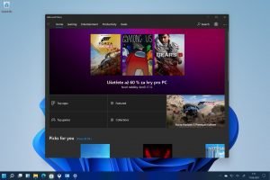 Windows 11 25
