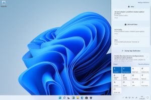 Windows 11 5