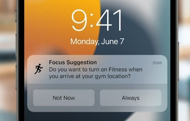 notification 4