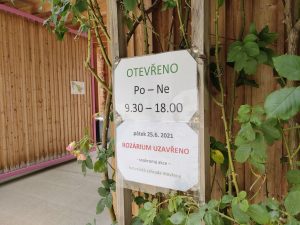 IMG20210621144128