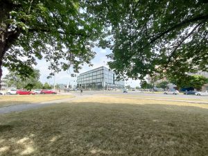 IMG20210621145301