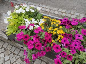 IMG20210621153549