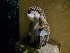 IMG20210622222345