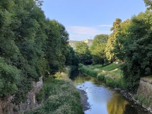 IMG20210628184723