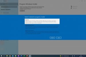 Windows 11 32
