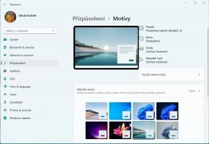 Windows 11 65