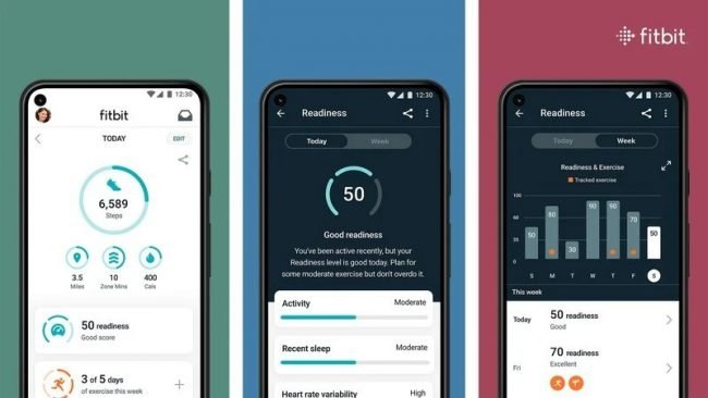 Fitbit 1