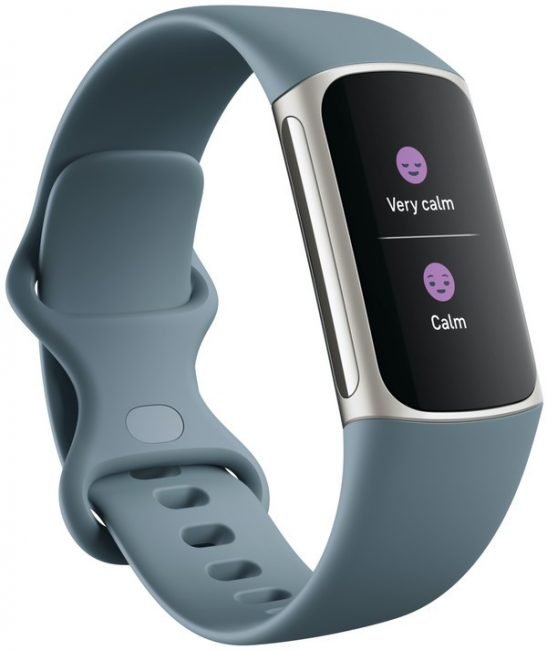 Fitbit Charge 5 2 1