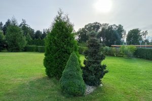 IMG20210804180621