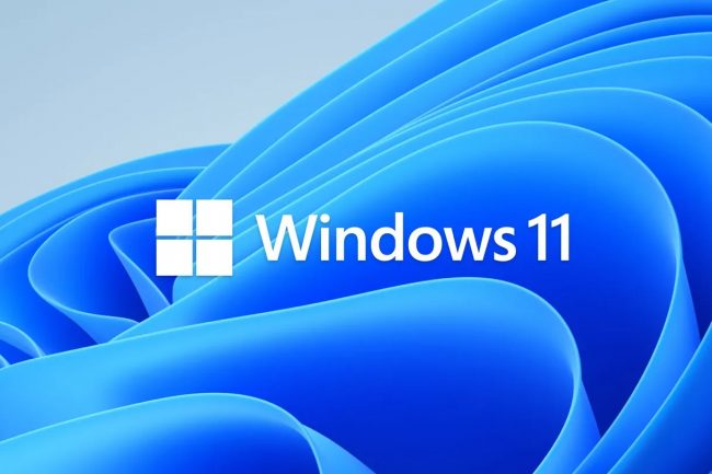 Microsoft Windows 11 logo