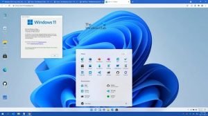 Try Windows 11