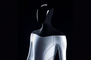 Tesla Bot, dnes známý jako Optimus