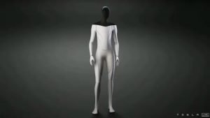 tesla bot