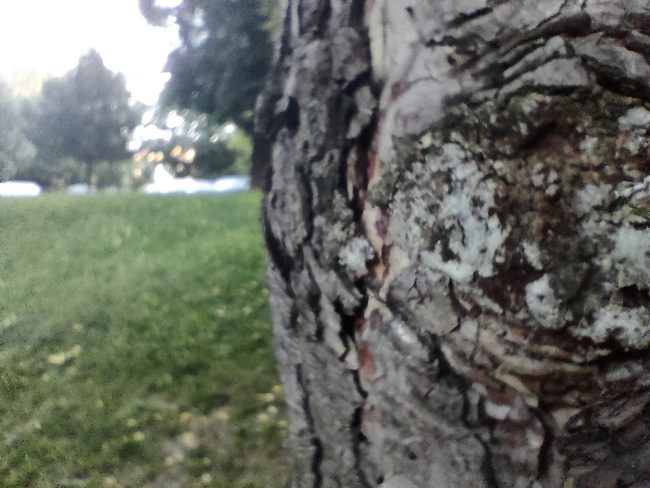 IMG20210907184847