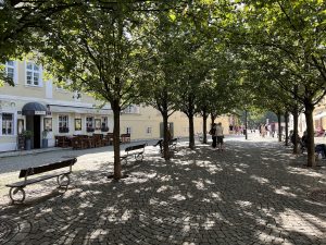 IMG 0084