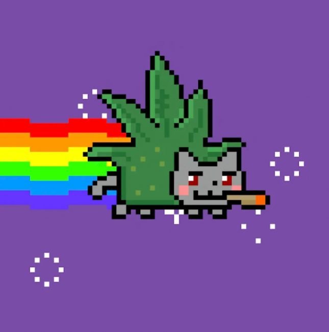 nft nyandogg medici