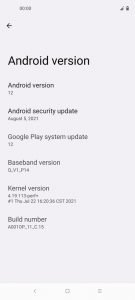 Android 12 stable GSI 1