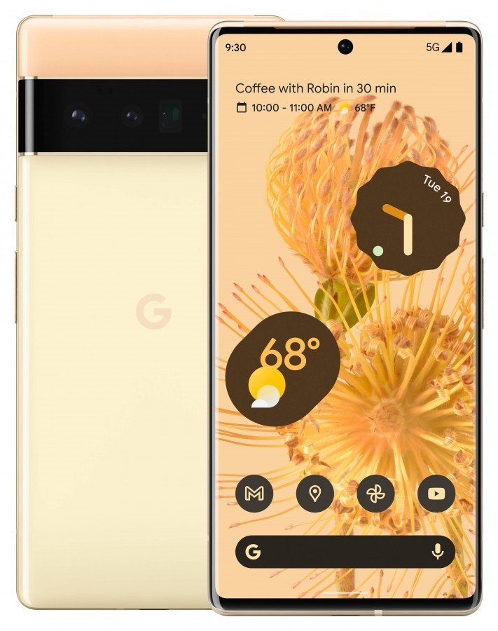 Pixel 6 Pro 1