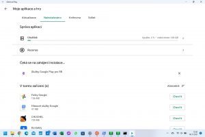 Google Play 21