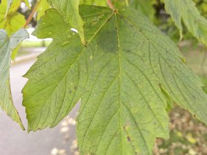 IMG 20211015 115843