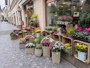 IMG 20211017 151326