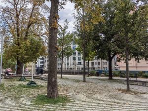 IMG 20211022 141922