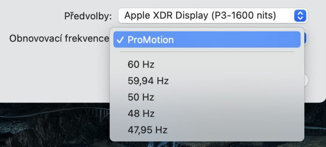 Pro Motion