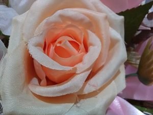 huawei nova 9 macro 4