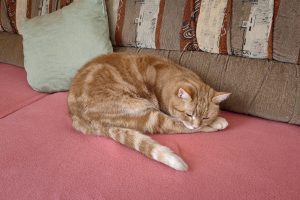IMG 20220122 104444