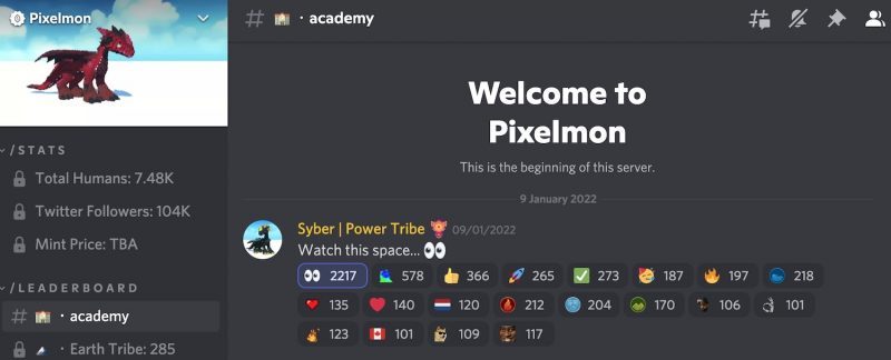 Pixelmon discord