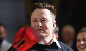 musk boxing glove spacex