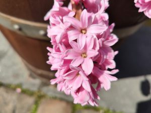 IMG 20220411 123601