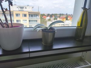IMG 20220506 142454