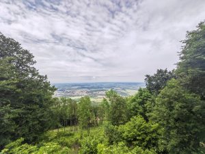 IMG 20220610 131007