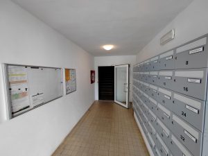 IMG 20220811 165141