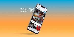ios 16 shared photos