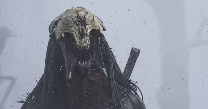 prey predator korist disney